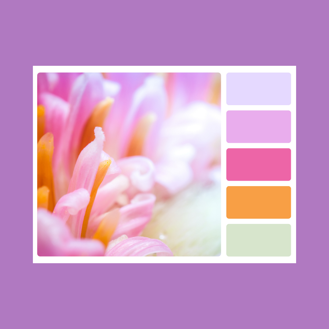 Using Color Palettes to Attract Instagram Followers